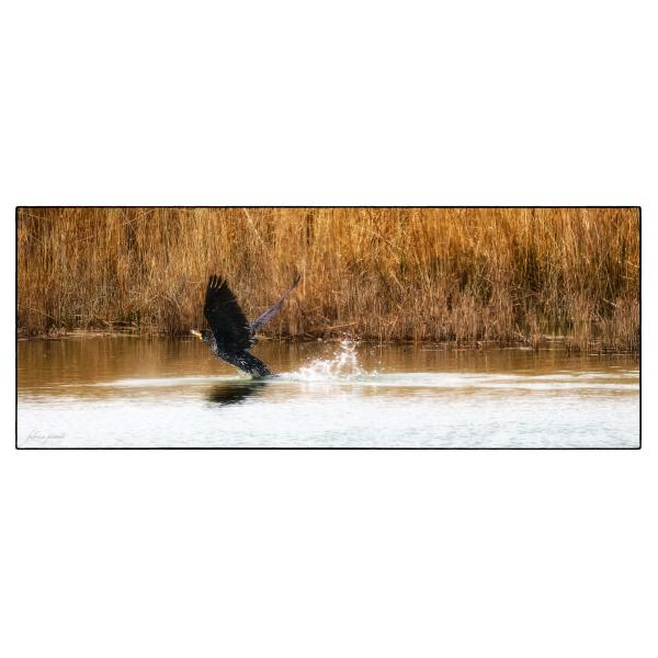 PHOTO84, CLUB, 84 , LUBERON